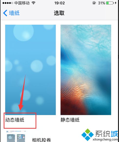 蘋果動態壁紙怎么沒有聲音 蘋果動態壁紙為什么沒有聲音