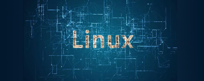 linux如何查看內存？