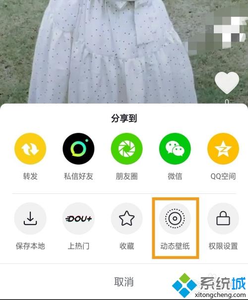 怎么將視頻轉成動態壁紙 視頻轉換動態壁紙的圖文教程