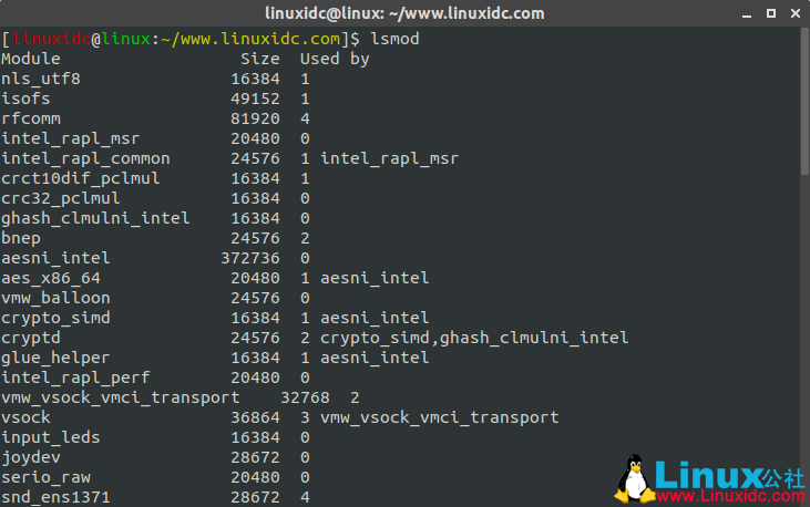 Linux中的Lsmod命令（列出內核模塊）