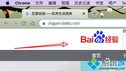 mac上下載了谷歌打不開網頁怎么辦 mac電腦谷歌打不開網頁的解決方法