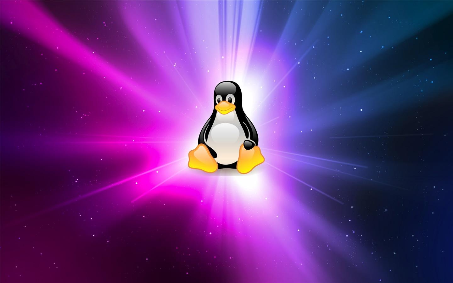 Ubuntu 發現內核回歸系統崩潰漏洞，需盡快升級