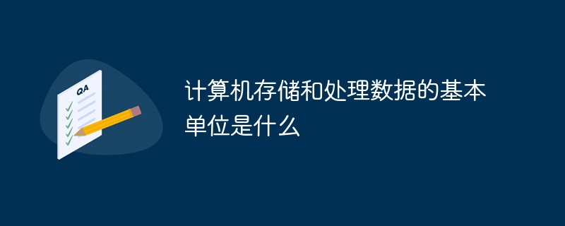 計(jì)算機(jī)存儲和處理數(shù)據(jù)的基本單位是什么