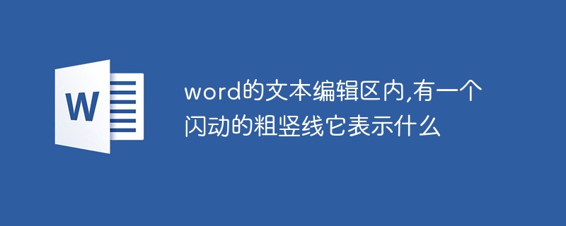 word的文本編輯區內,有一個閃動的粗豎線它表示什么