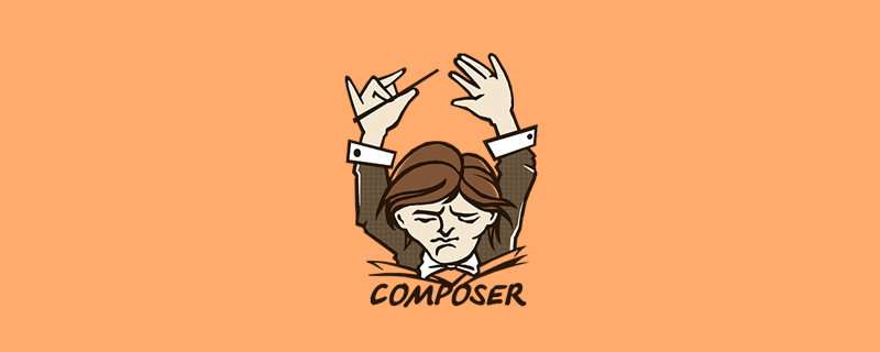 composer更新項目怎么使用VCS源