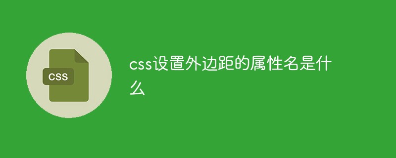 css設置外邊距的屬性名是什么
