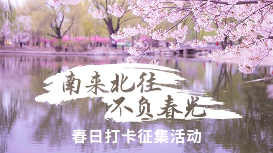 春日打卡拍攝攻略:如何讓你拍攝的花兒脫穎而出?