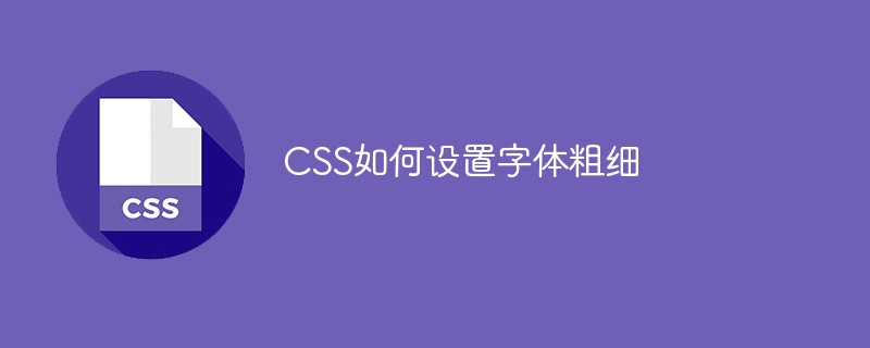 CSS如何設(shè)置字體粗細(xì)