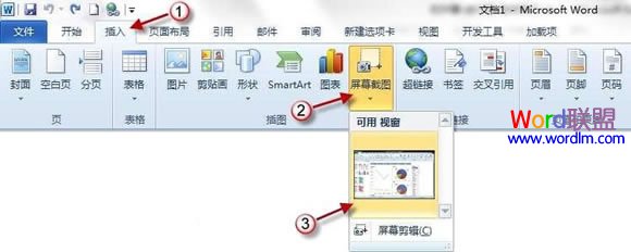 word屏幕截圖 Word2010屏幕截圖插入功能如何使用？