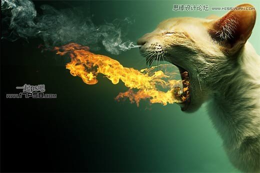 PS合成生化異形噴火貓教程