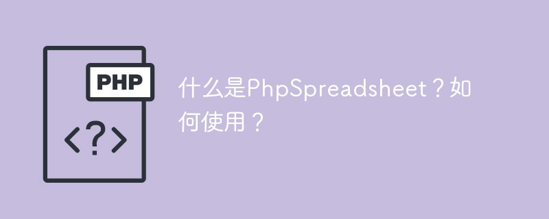 什么是PhpSpreadsheet？如何使用？