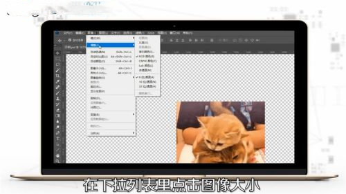 ps怎么調整圖片大小 ps圖片大小的調整方法