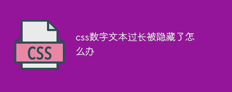 css數(shù)字文本過長被隱藏了怎么辦