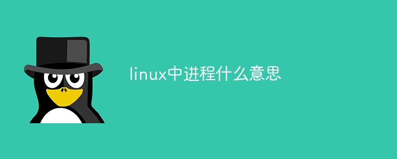 linux中進程什么意思