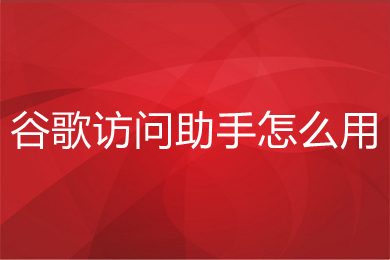 谷歌訪問助手怎么用 谷歌訪問助手的詳細使用教程