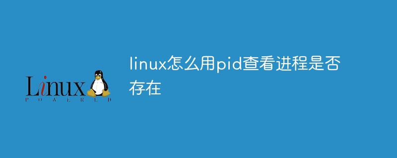 linux怎么用pid查看進程是否存在