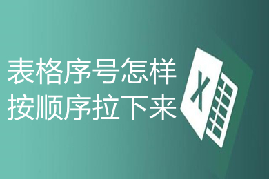 表格序號怎樣按順序拉下來 表格自動排序123456的設置方法