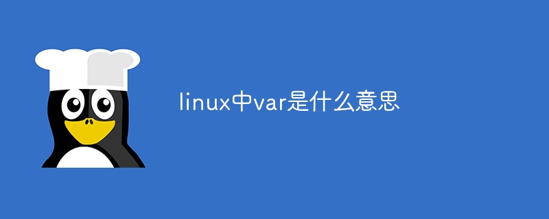 linux中var是什么意思