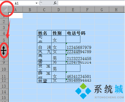 行高在excel表哪里調 行高在excel表中的四種快捷調整方法
