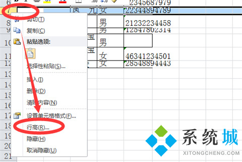 行高在excel表哪里調 行高在excel表中的四種快捷調整方法