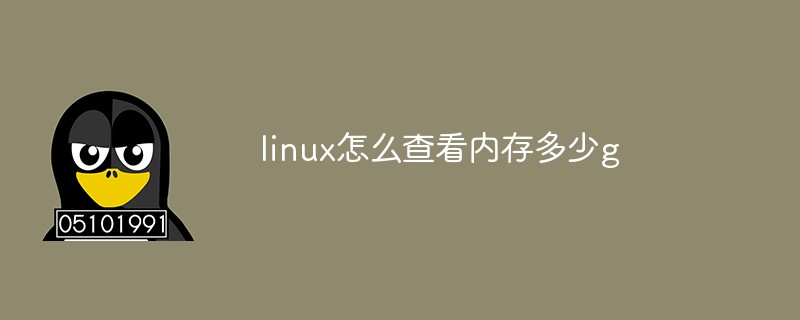linux怎么查看內存多少g