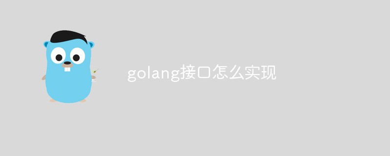 golang接口怎么實現