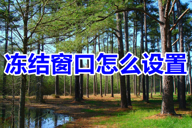 凍結(jié)窗口怎么設置 excel表格凍結(jié)窗口的設置方法