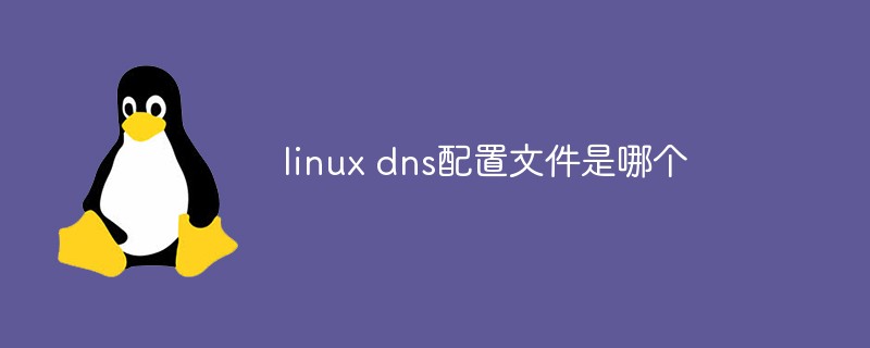 linux dns配置文件是哪個