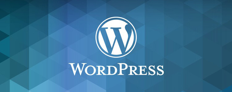 WordPress主題代碼怎么靜態(tài)化？教程分享